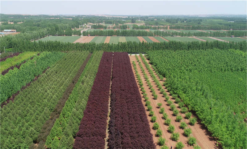 1589763993220337.jpg 1 (3).jpg