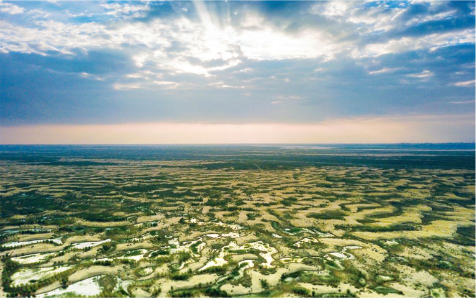 1591146572772676.jpg 52.jpg