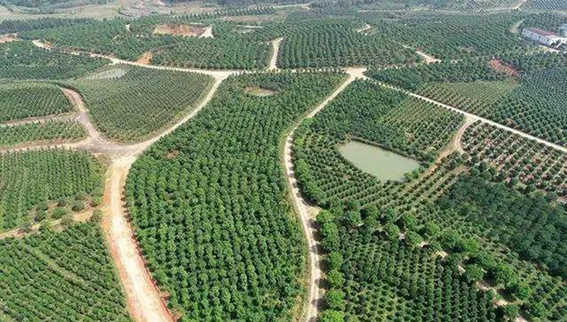 1606980197930509.jpg 微信图片_20201203151133.jpg