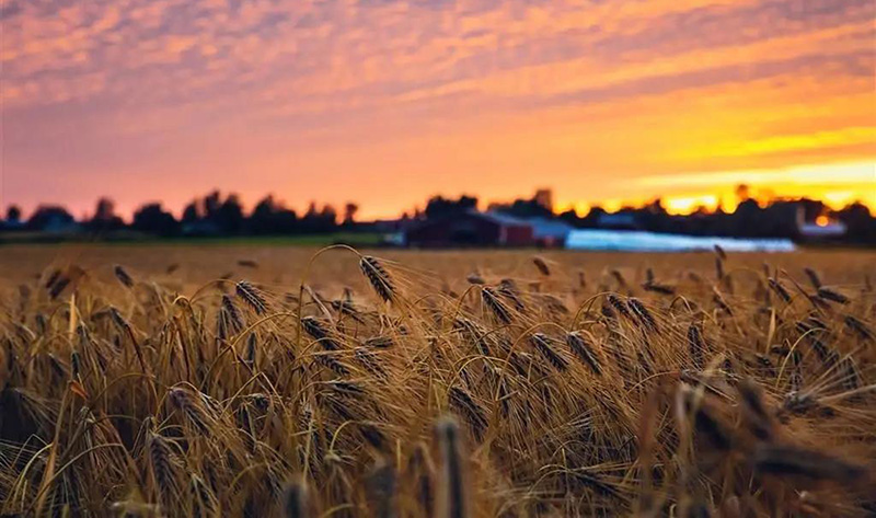 1606980206386758.jpg 微信图片_20201203151139.jpg