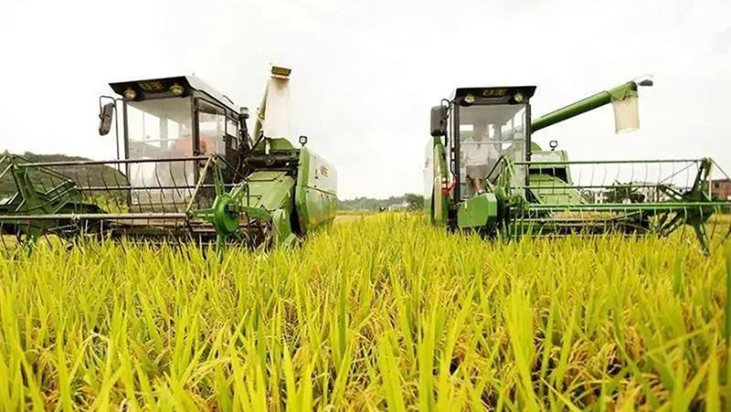 1606980214380238.jpg 微信图片_20201203151136.jpg